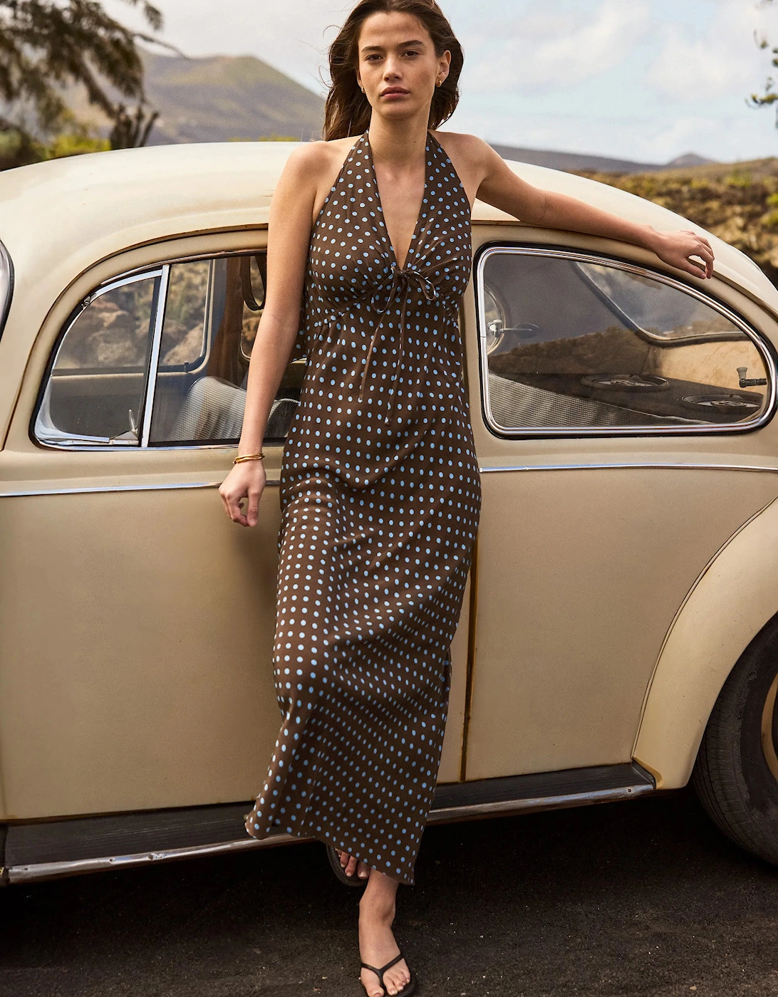 Petite Brown And Blue Spot Print Halter Neck Dress