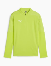 Electriclime