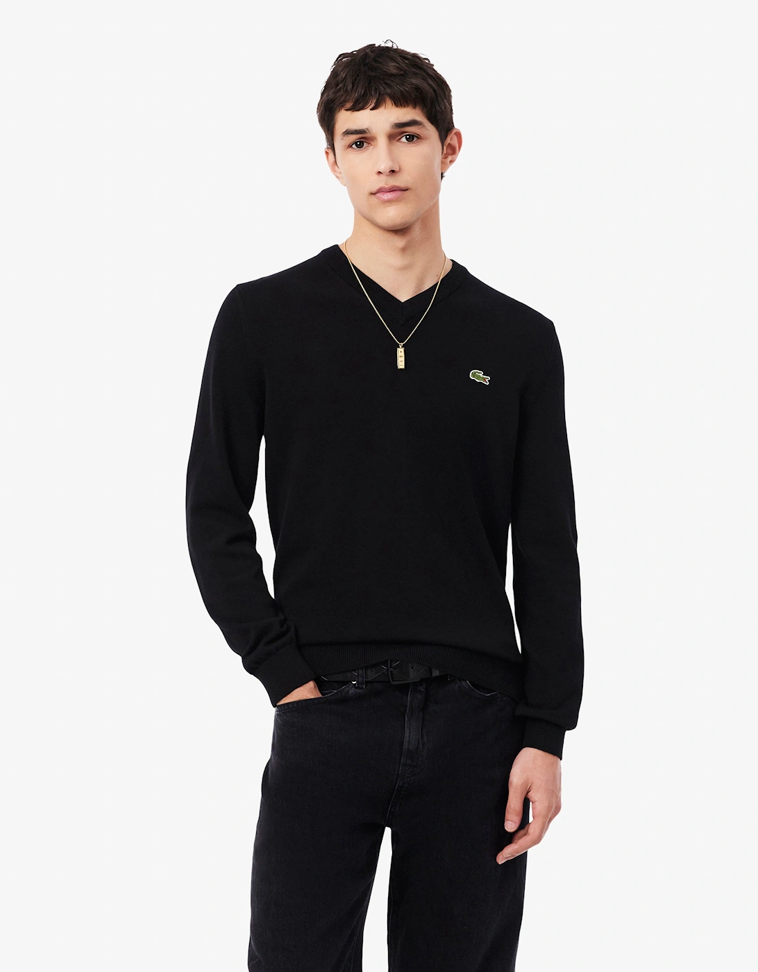 Lacoste Monochrome Jersey Mens V Neck Sweater - Black 031