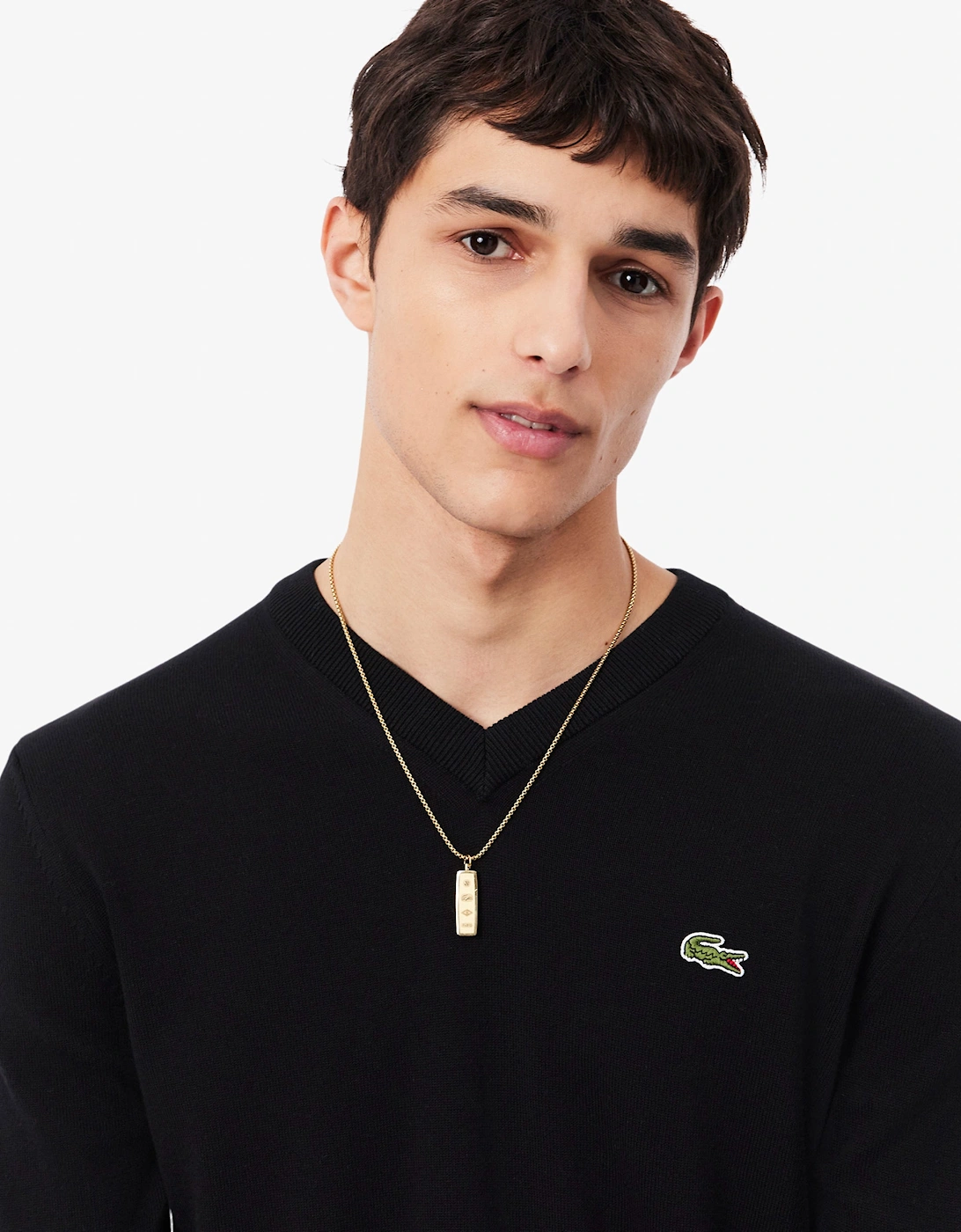 Lacoste Monochrome Jersey Mens V Neck Sweater - Black 031