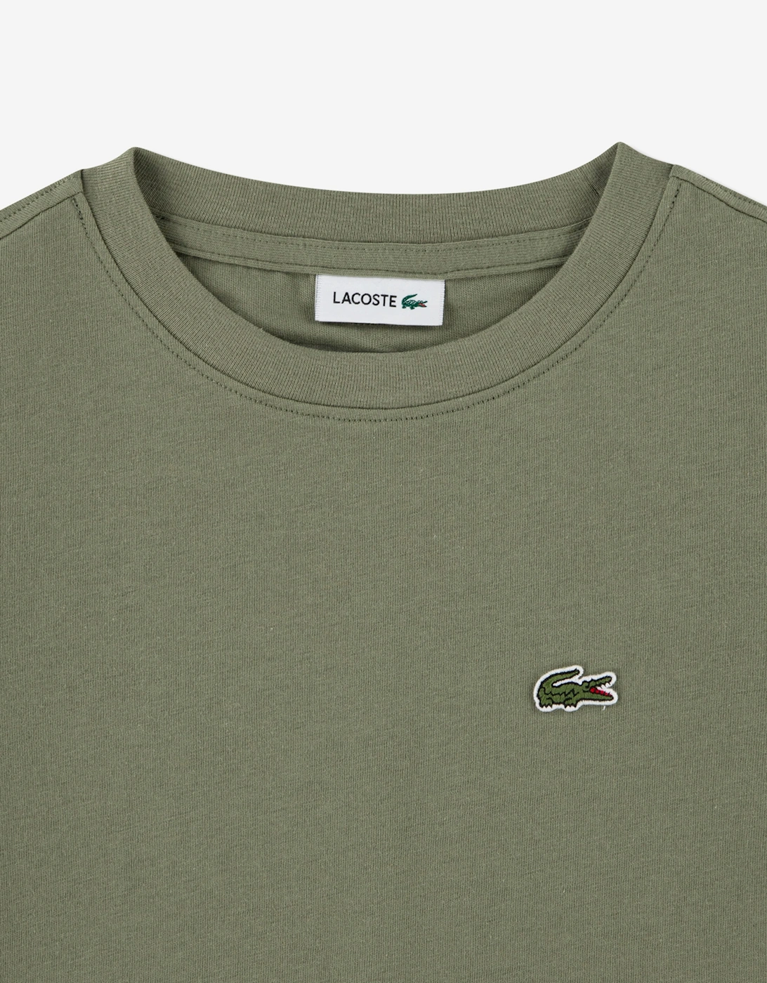 Lacoste Boys Core T-Shirt in Green