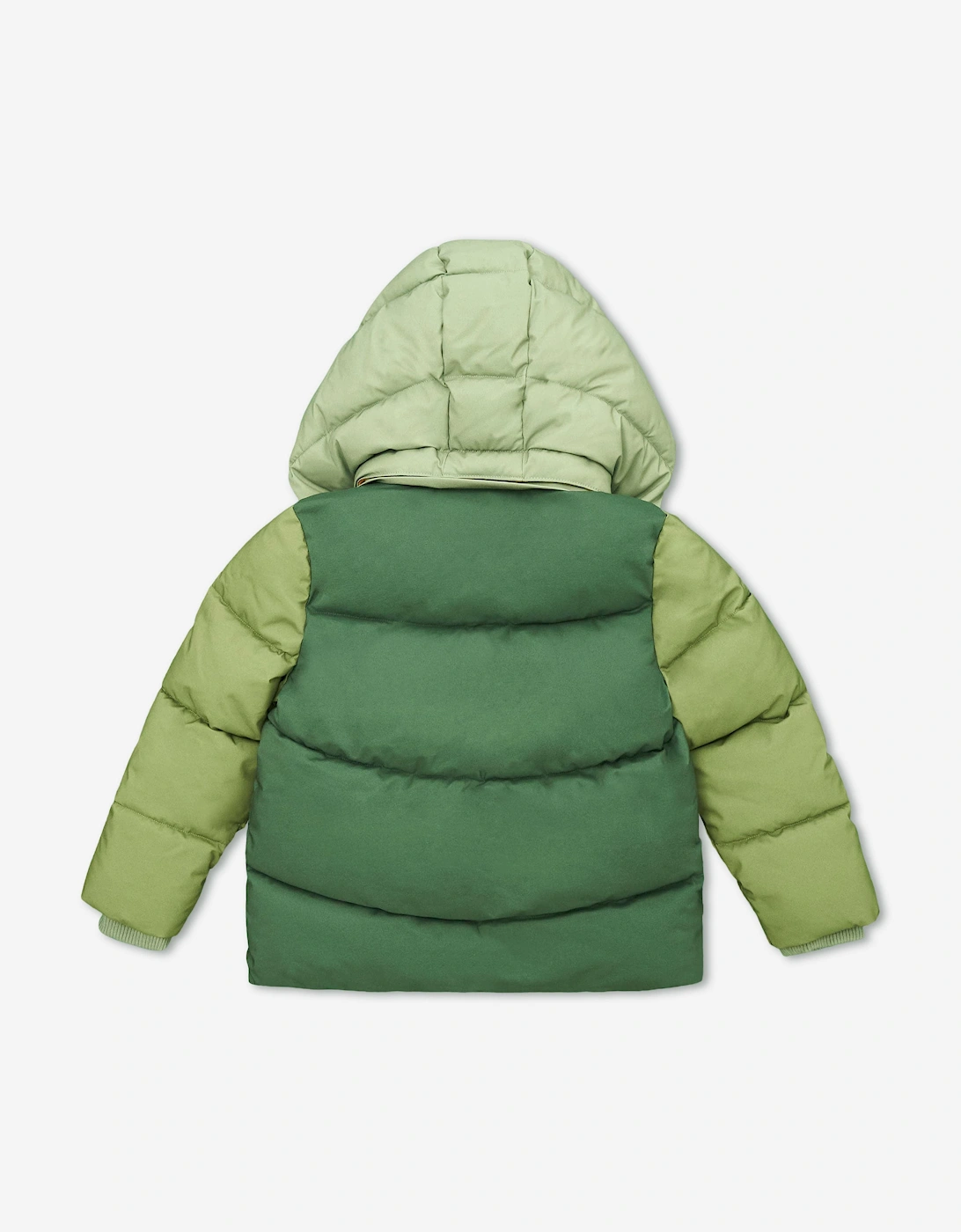 Roarsome Boys Puffer Jacket in Green
