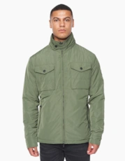 Dark Olive / Green