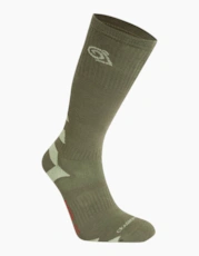 Wild Olive / Bud Green
