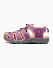 Purple / Pink