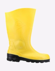 Yellow/Black