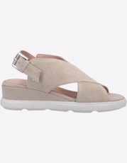 Light Taupe