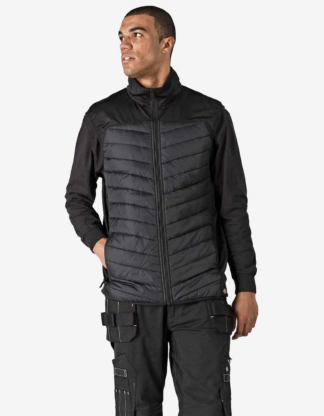 Dickies Generation Hybrid Gilet Mens Black