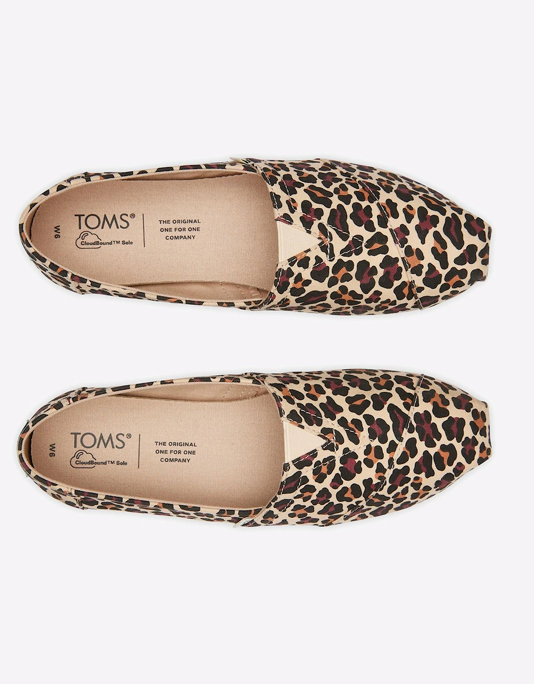 Toms Alpargata Cloudbound Shoes Womens Animal Print