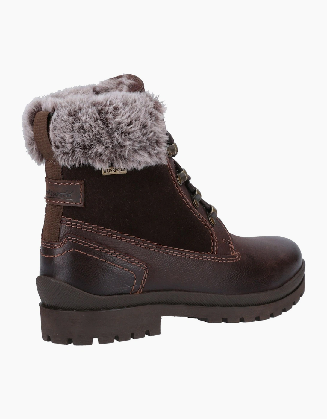 Cotswold Evenlode Waterproof Womens Boots Brown
