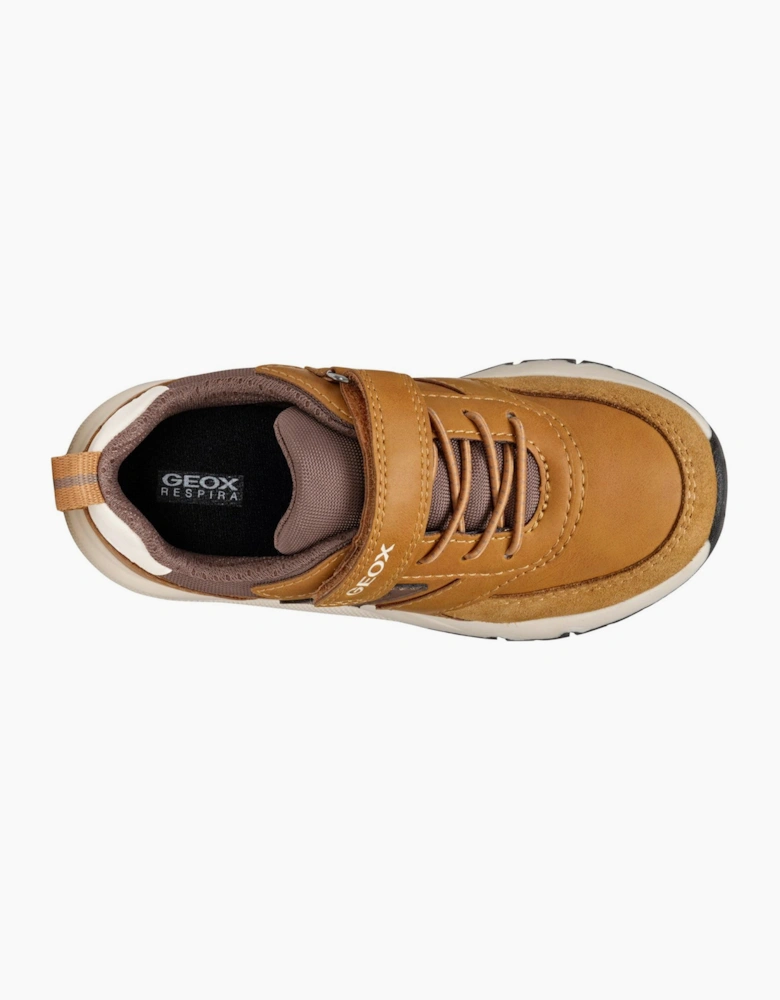 Geox Rooner Boys Trainers Dark Yellow/Coffee