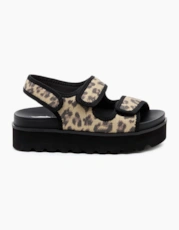 Leopard / Black
