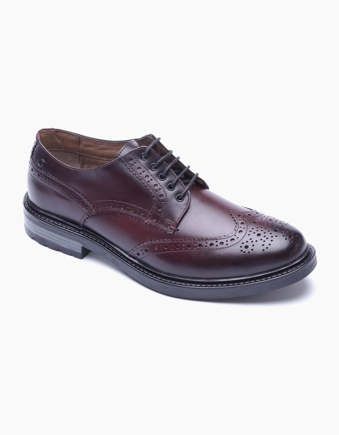 Base London Tanner Leather Men's Bordo Brogues Shoes