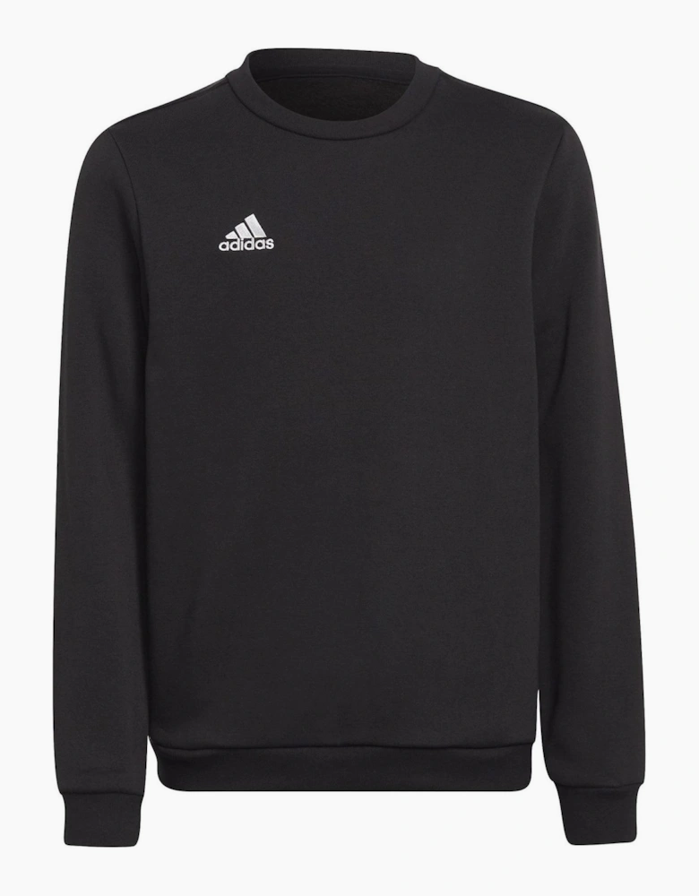 Ent22 Sweater Juniors