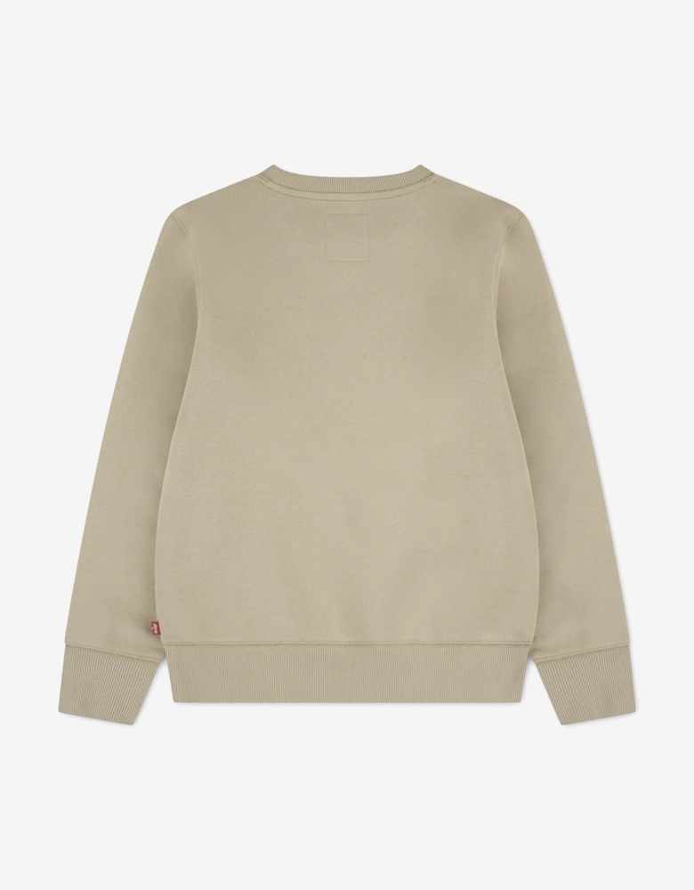 Levi's Boys Batwing Crewneck Sweatshirt in Beige