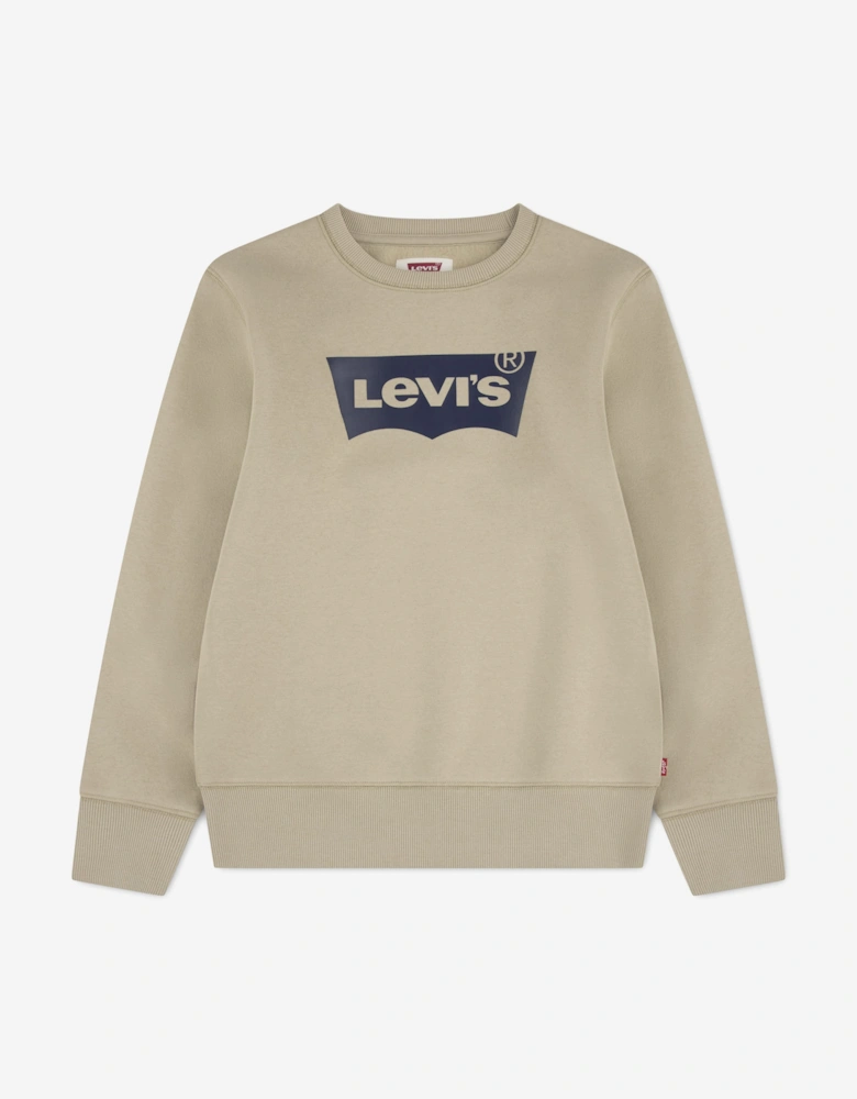 Levi's Boys Batwing Crewneck Sweatshirt in Beige