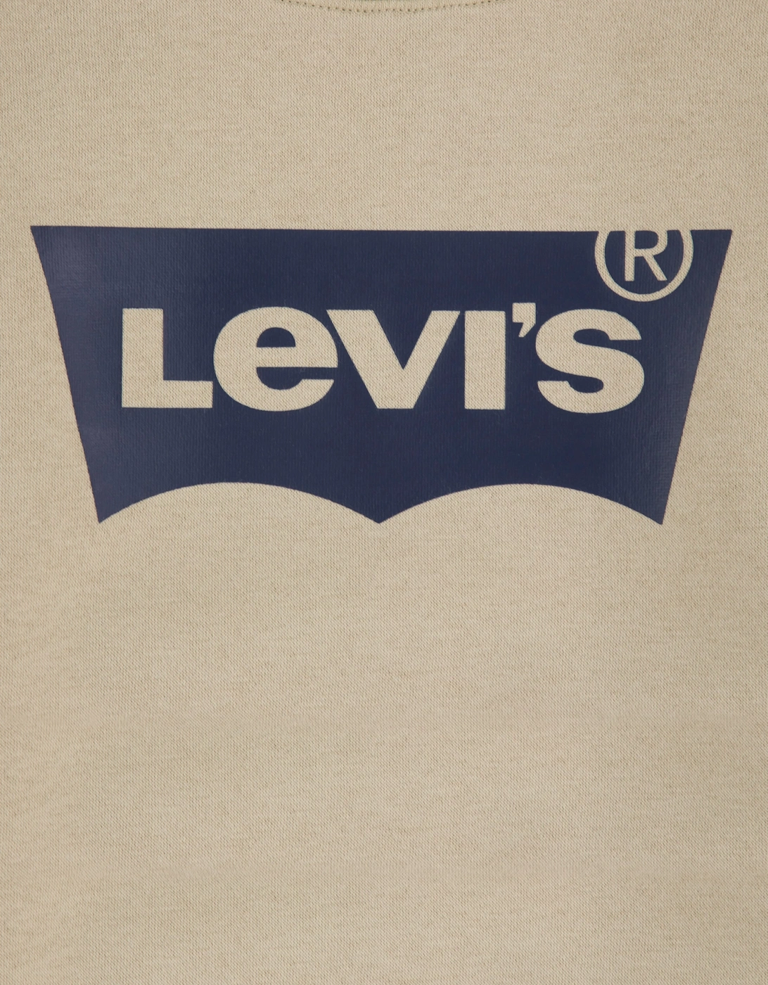 Levi's Boys Batwing Crewneck Sweatshirt in Beige