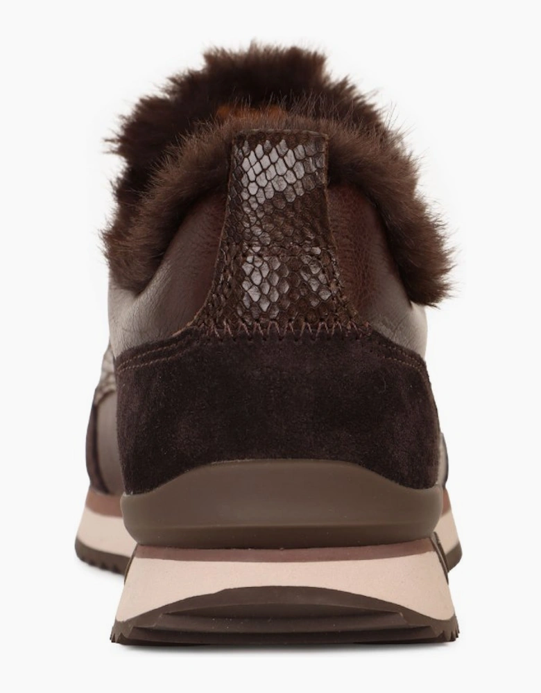 Tavern Womens Trainers