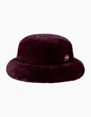 Aubergine