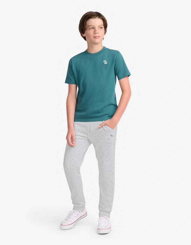 Abercrombie & Fitch Boys Essential Fleece Joggers in Grey