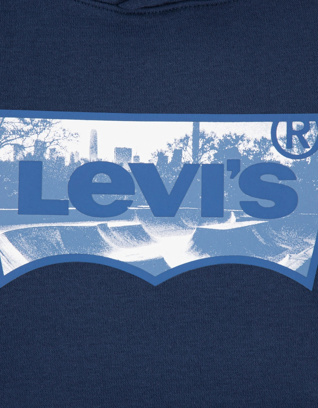 Levi's Boys Skate Park Batwing Hoodie in Blue