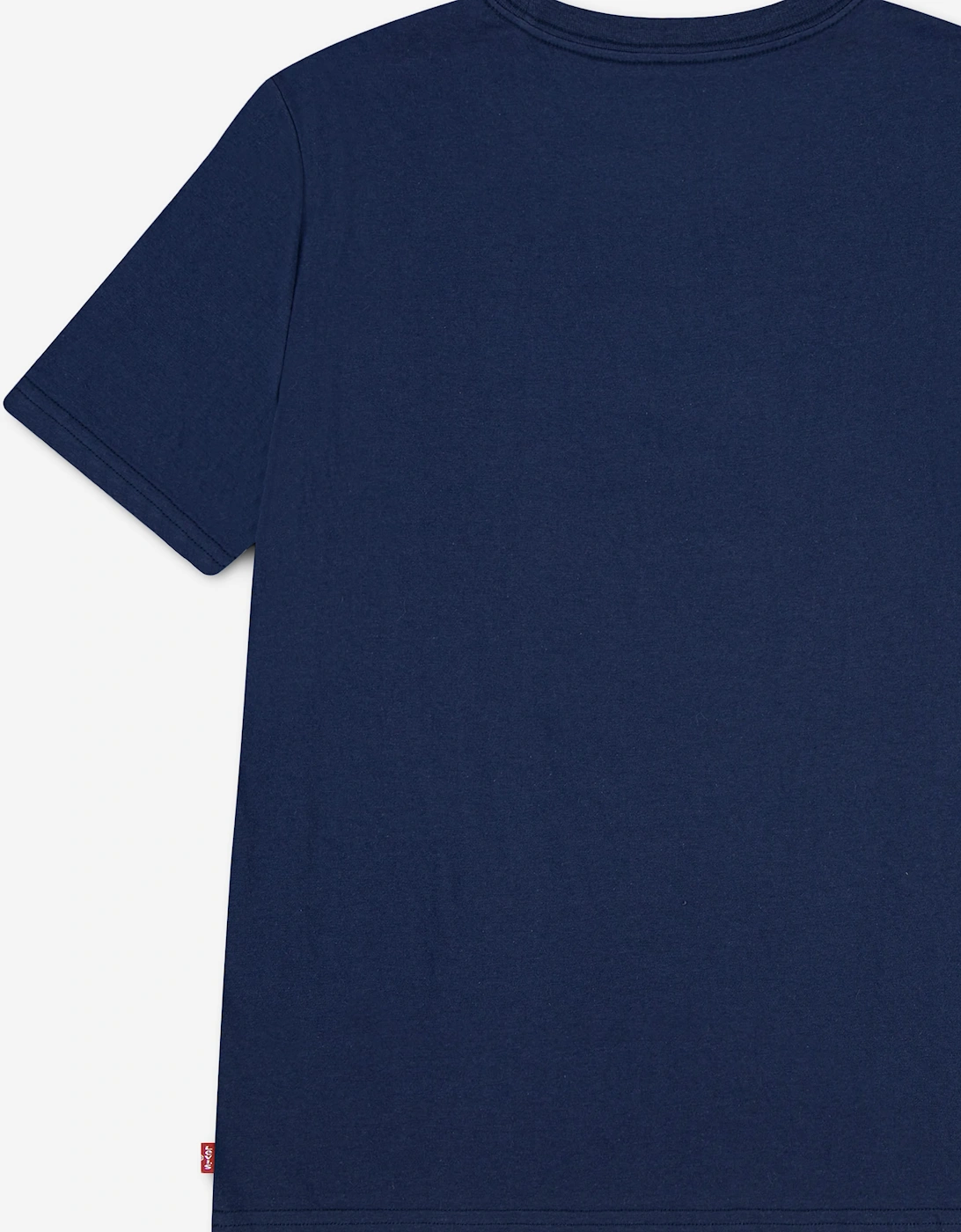 Levi's Boys Skate Batwing T-Shirt in Blue