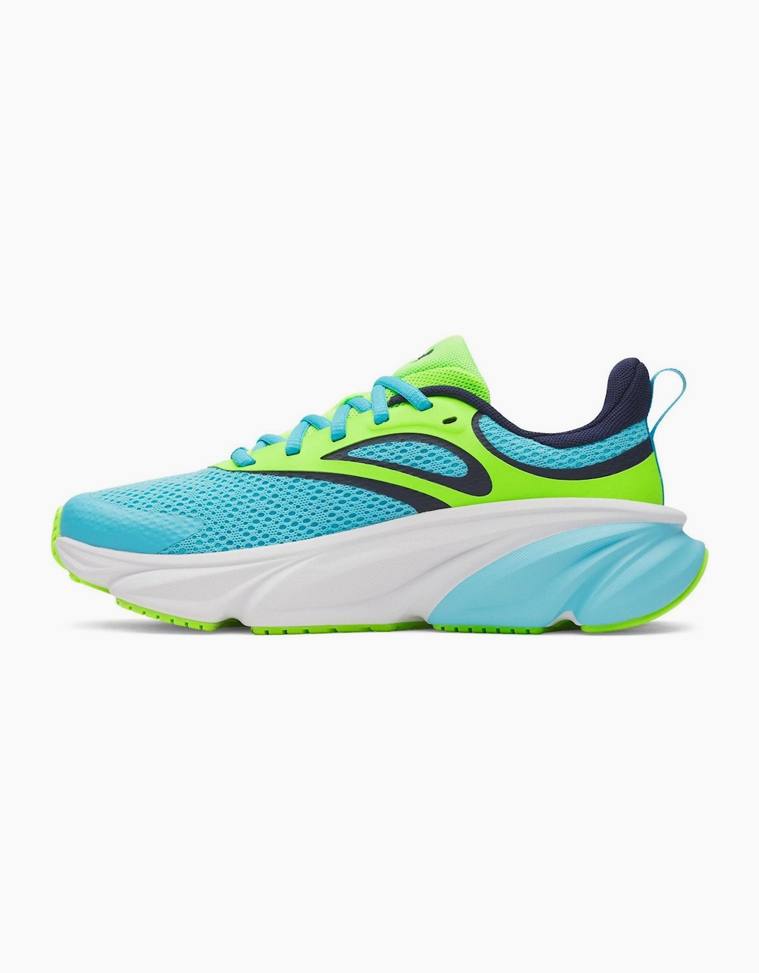 Ua Bgs Rogue 6