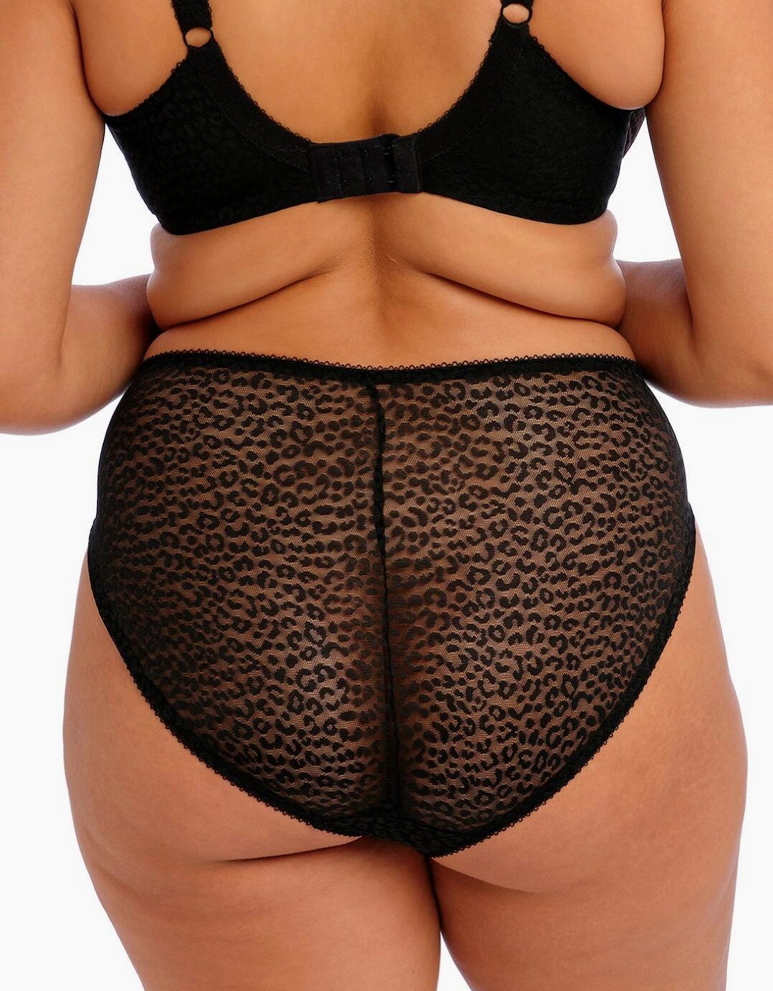 4496 Elomi Lucie High Leg Brief