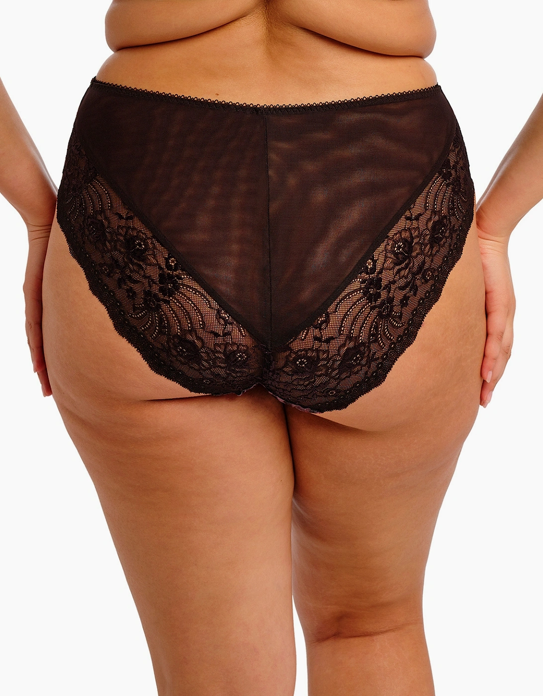4118 Elomi Morgan High Leg Brief