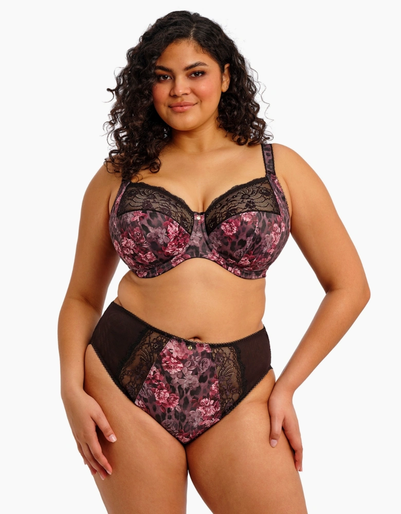 4118 Elomi Morgan High Leg Brief
