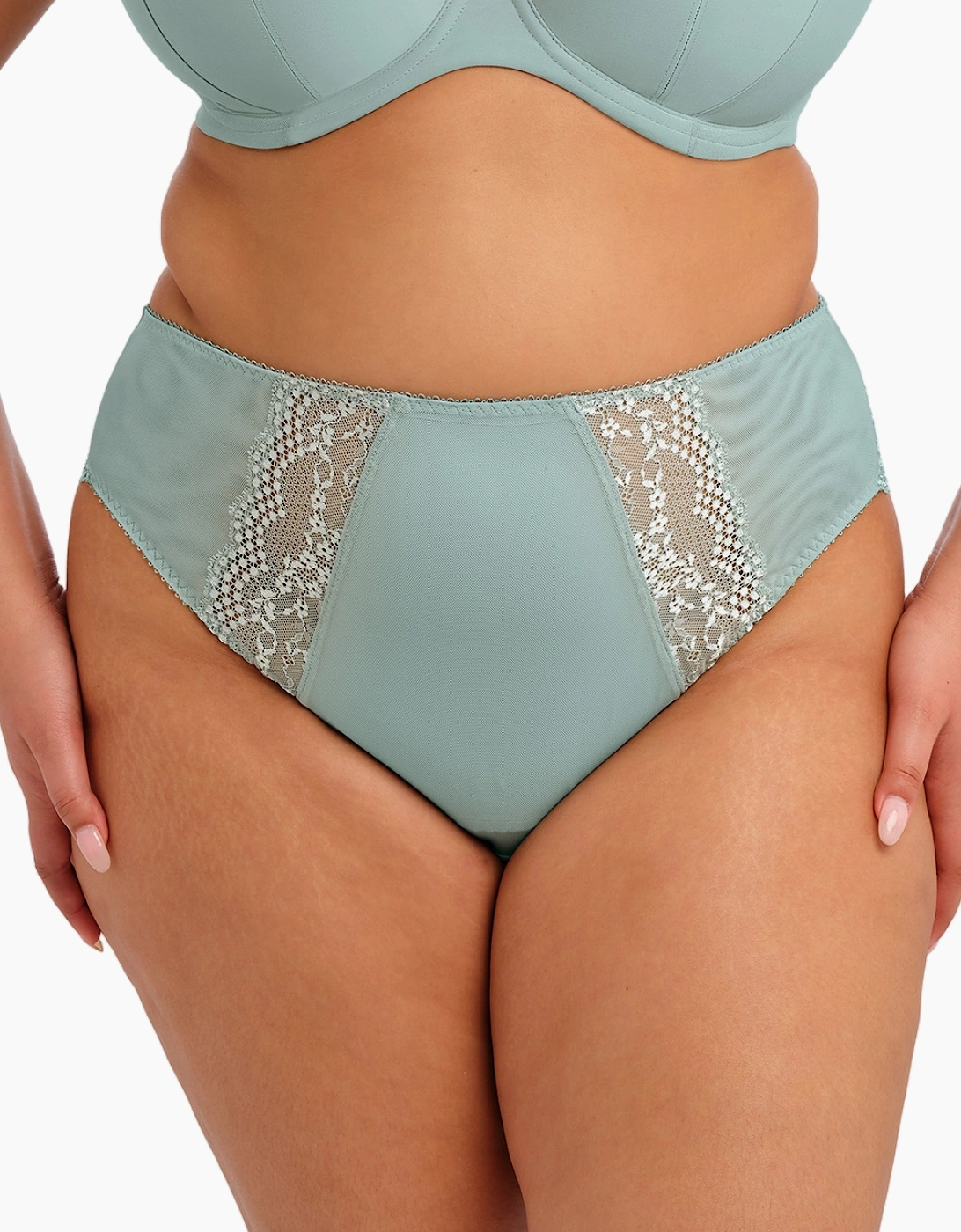 4498 Elomi Lucie High Leg Brief