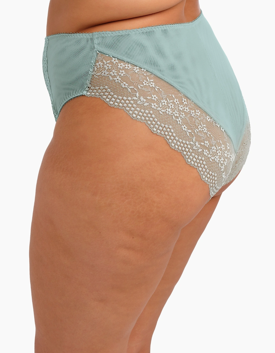 4498 Elomi Lucie High Leg Brief