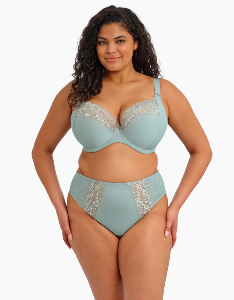 4498 Elomi Lucie High Leg Brief