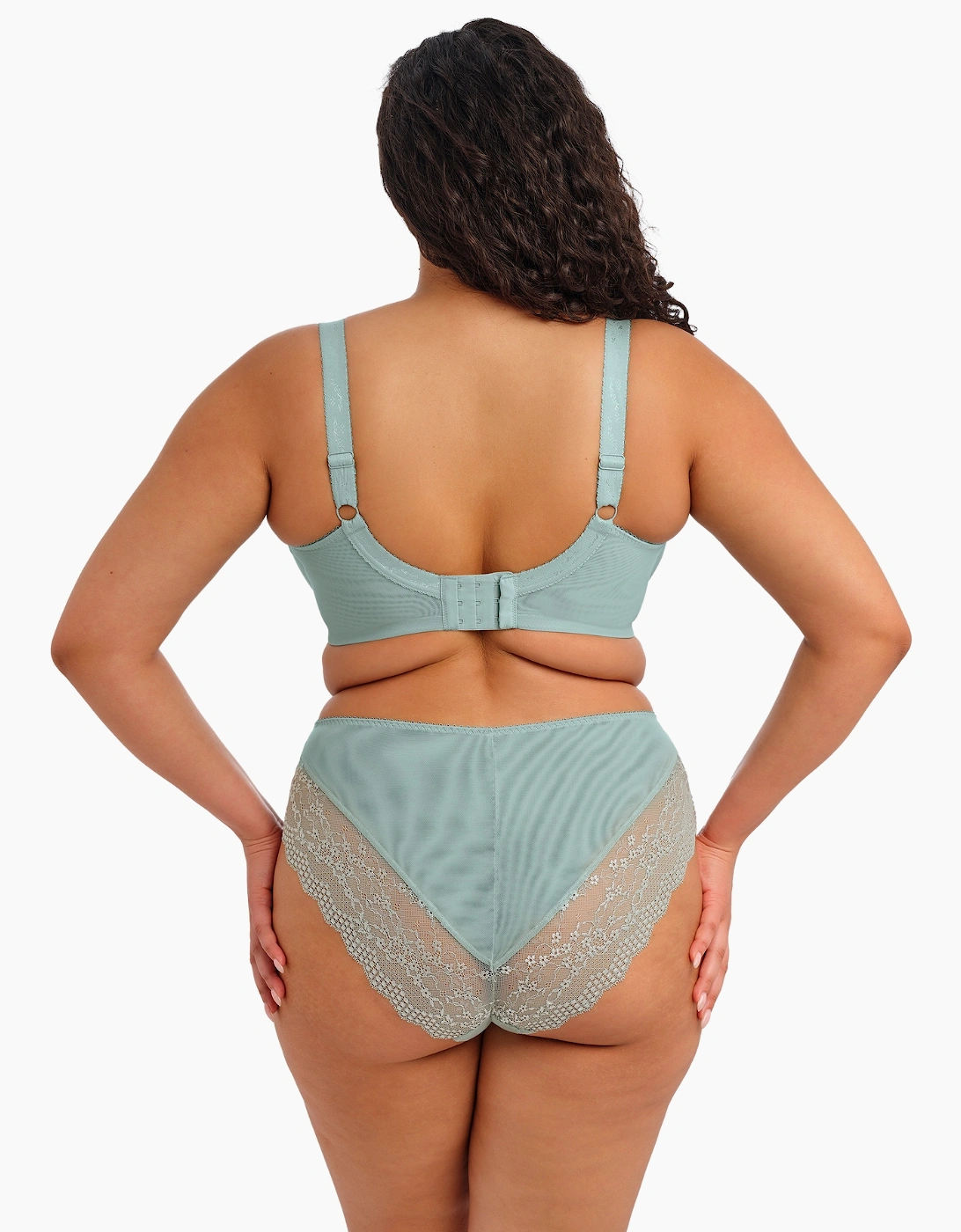 4498 Elomi Lucie High Leg Brief