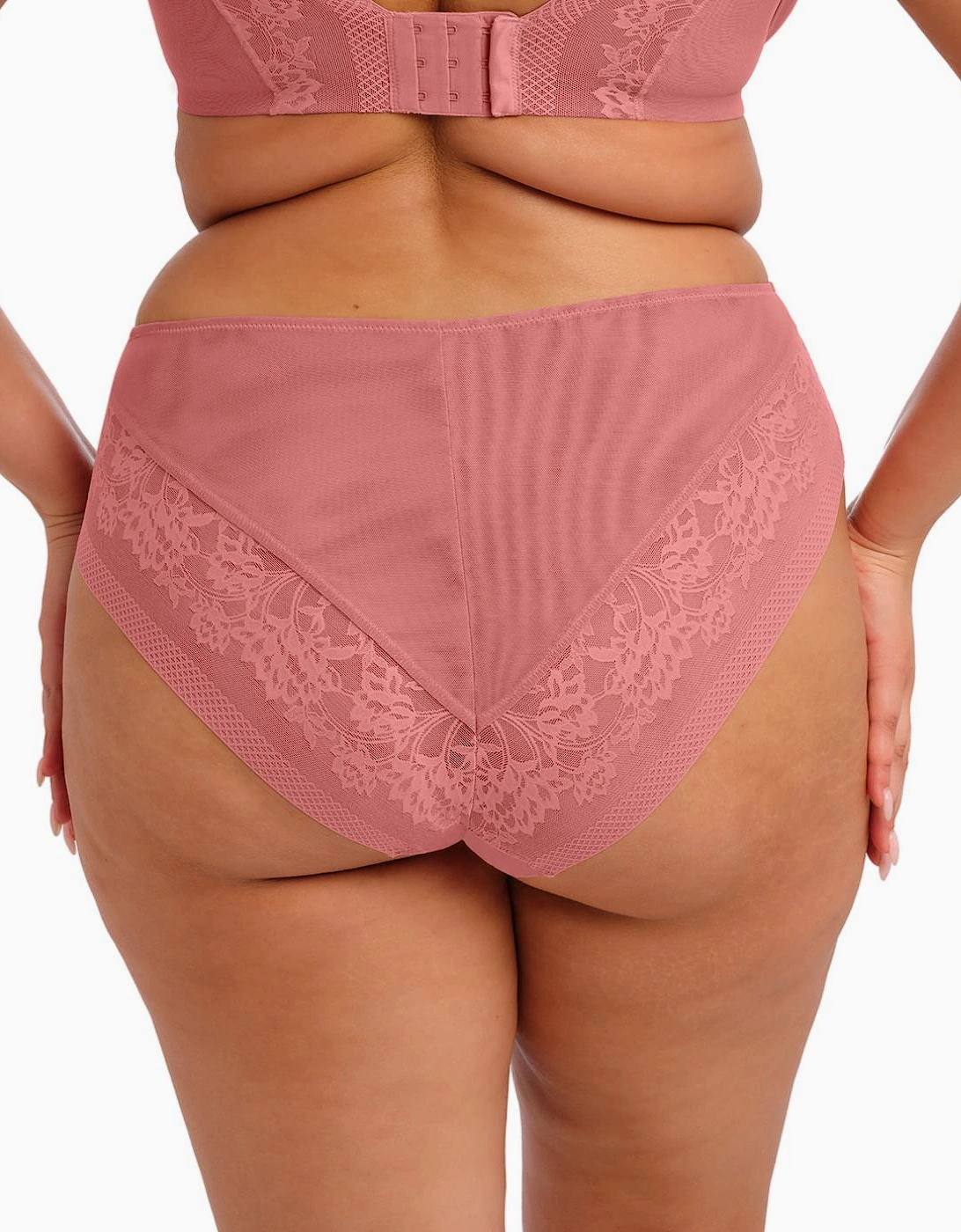 302753 Elomi Nerina High Leg Brief