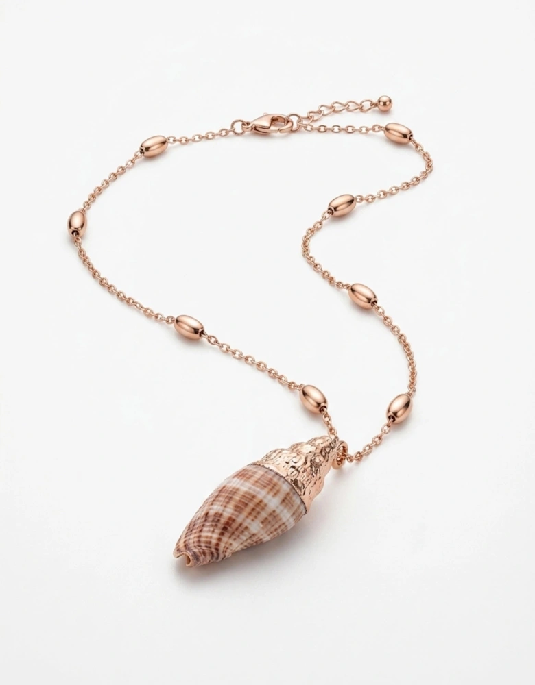 The Solara Shell Necklace