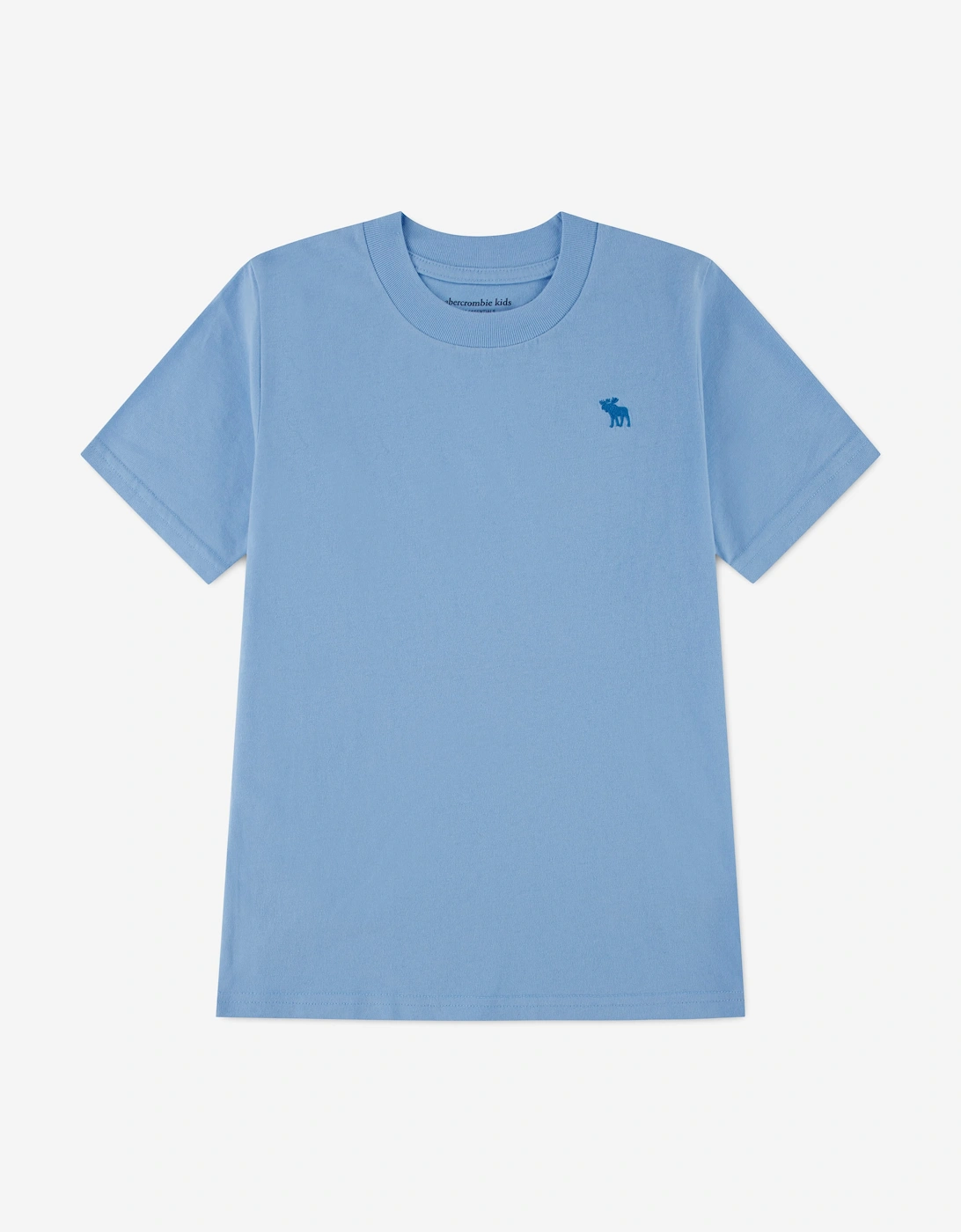 Abercrombie & Fitch Boys Essential T-Shirt in Blue