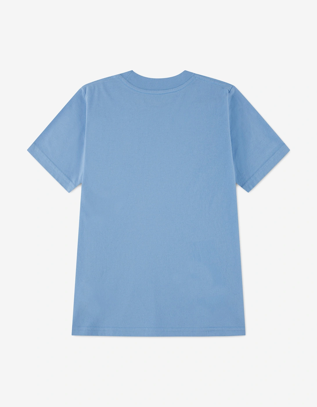 Abercrombie & Fitch Boys Essential T-Shirt in Blue