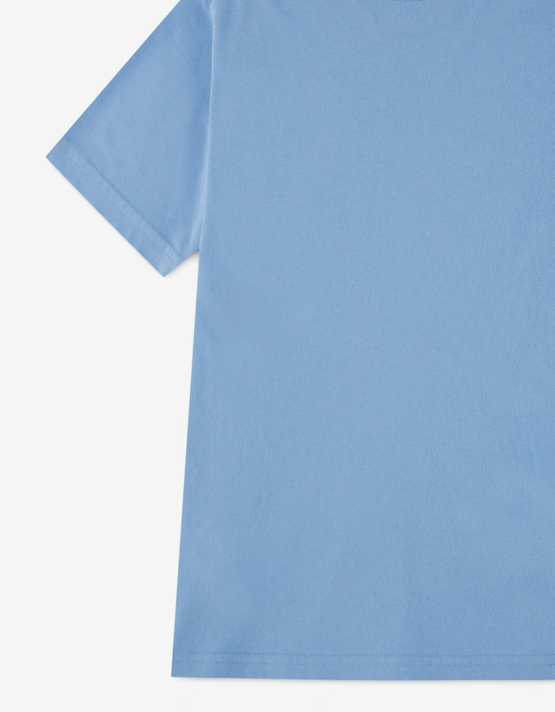 Abercrombie & Fitch Boys Essential T-Shirt in Blue