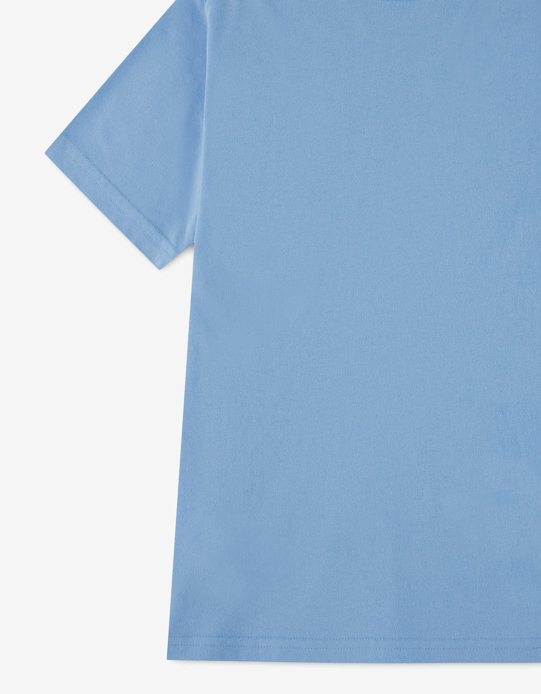 Abercrombie & Fitch Boys Essential T-Shirt in Blue