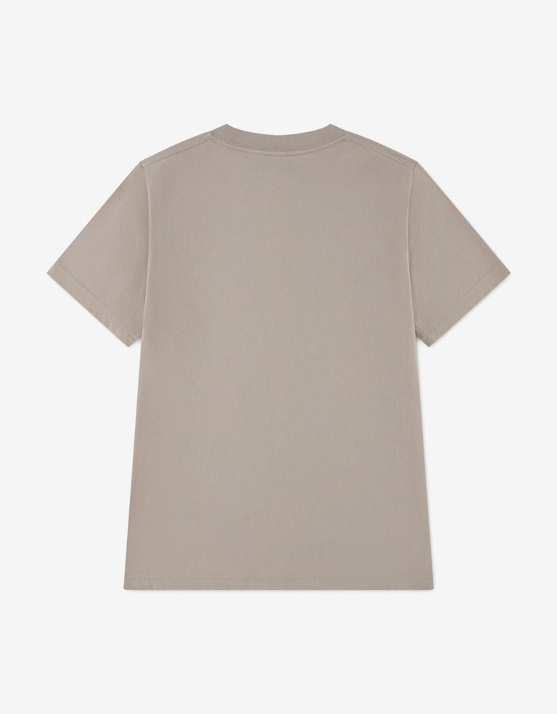 Abercrombie & Fitch Boys Football Fill T-Shirt in Grey
