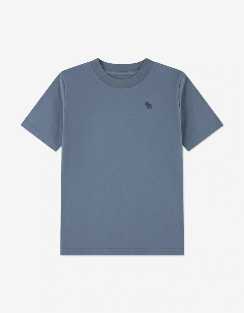 Abercrombie & Fitch Boys 3 Pack T-Shirt Set in Grey