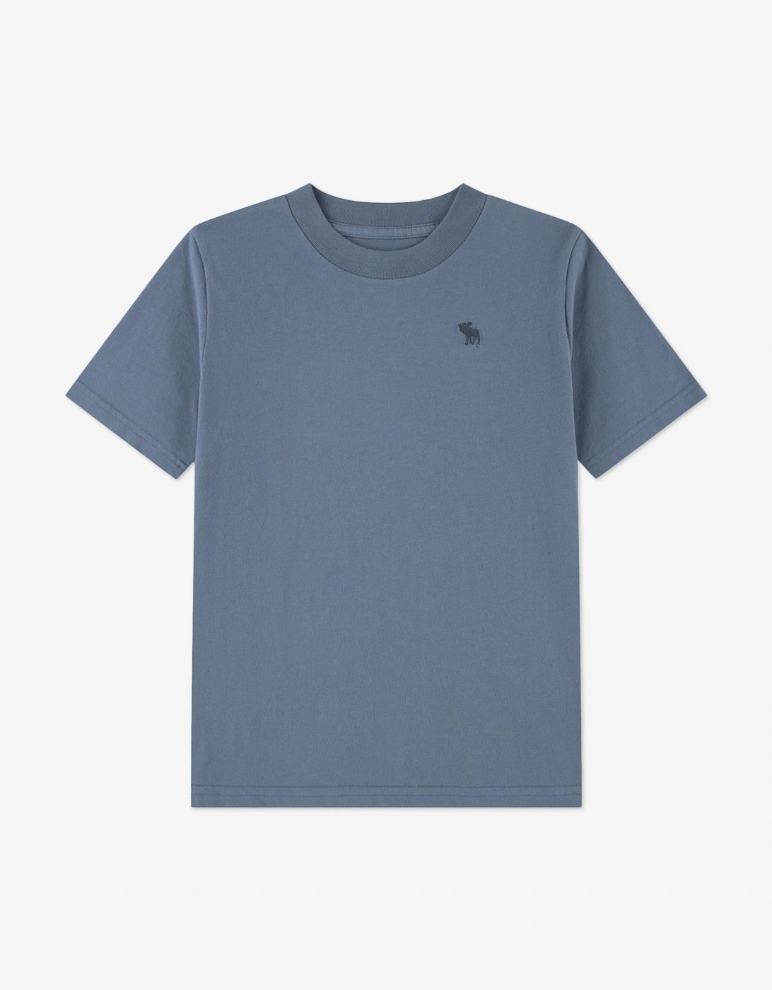 Abercrombie & Fitch Boys 3 Pack T-Shirt Set in Grey