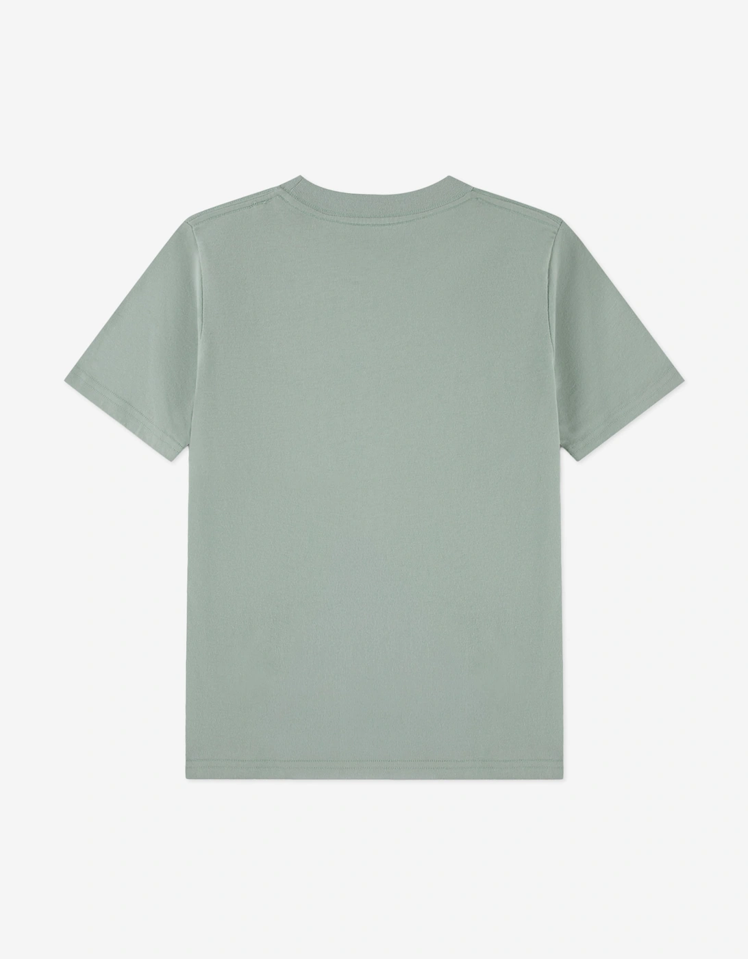 Abercrombie & Fitch Boys 3 Pack T-Shirt Set in Grey