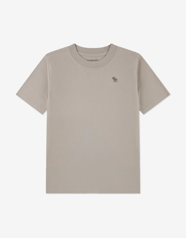Abercrombie & Fitch Boys 3 Pack T-Shirt Set in Grey