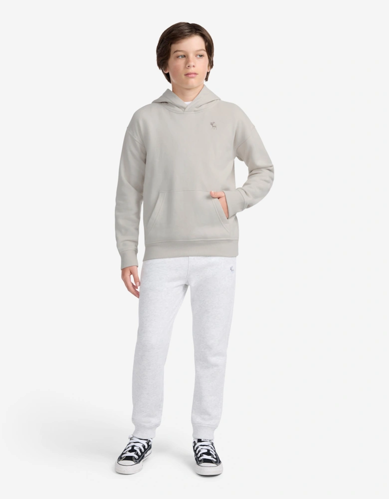 Abercrombie & Fitch Boys Essentials Fleece Hoodie in Grey
