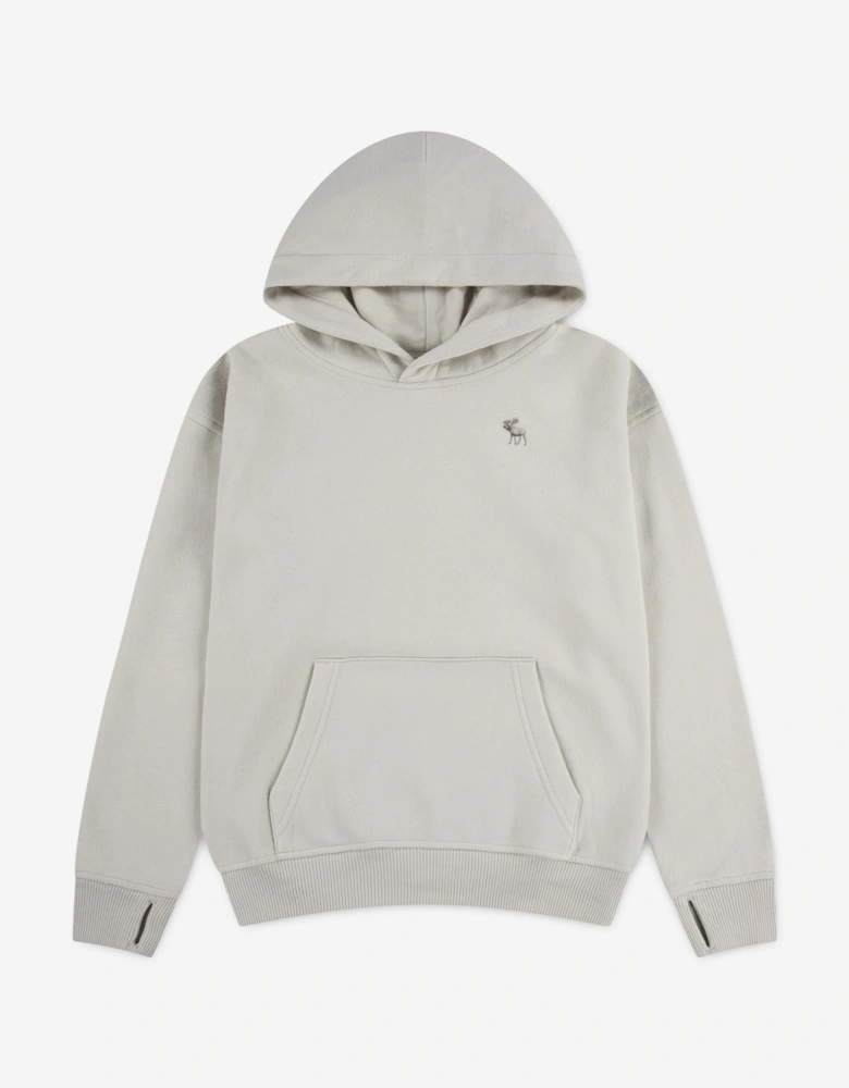 Abercrombie & Fitch Boys Essentials Fleece Hoodie in Grey