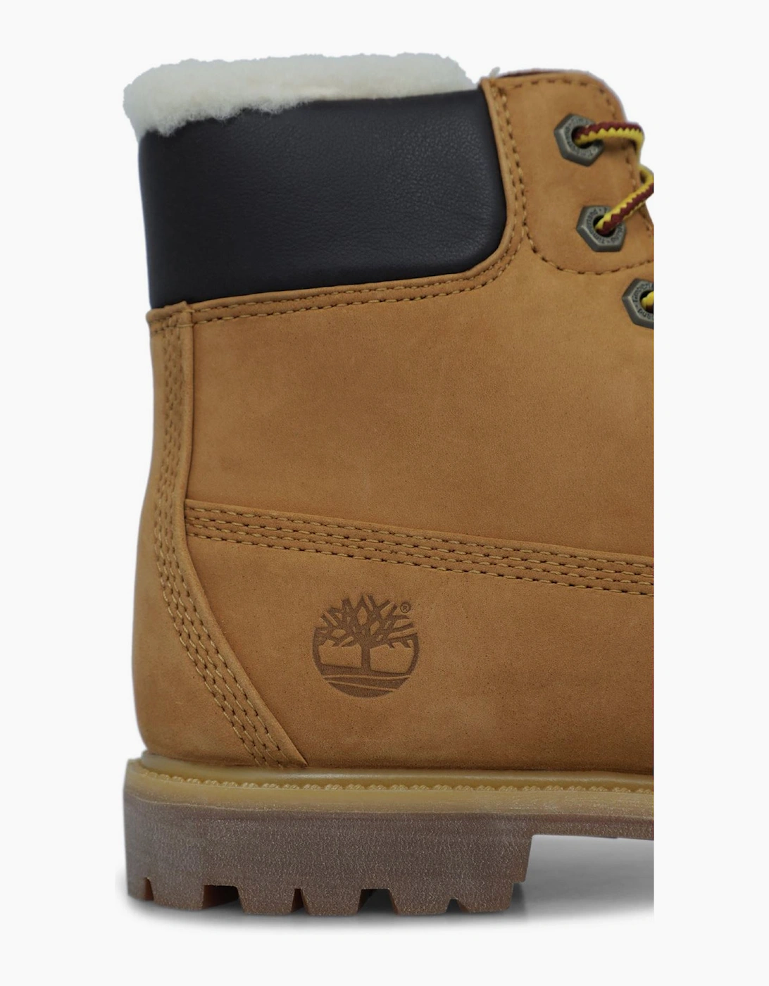 Premium 6 Inch Warm Line