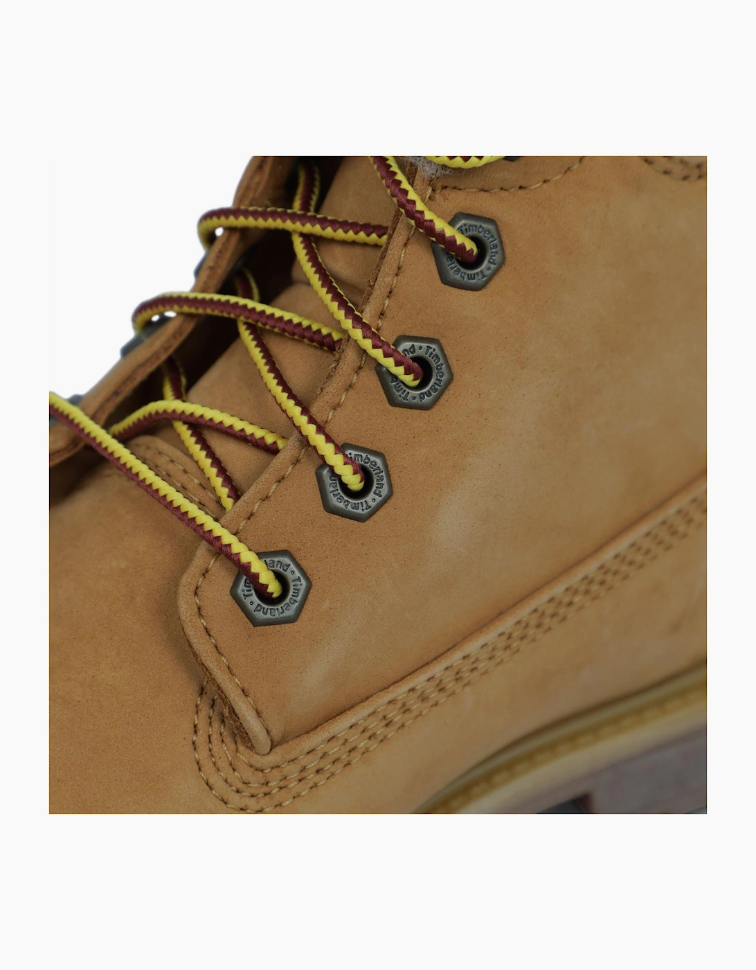 Premium 6 Inch Warm Line