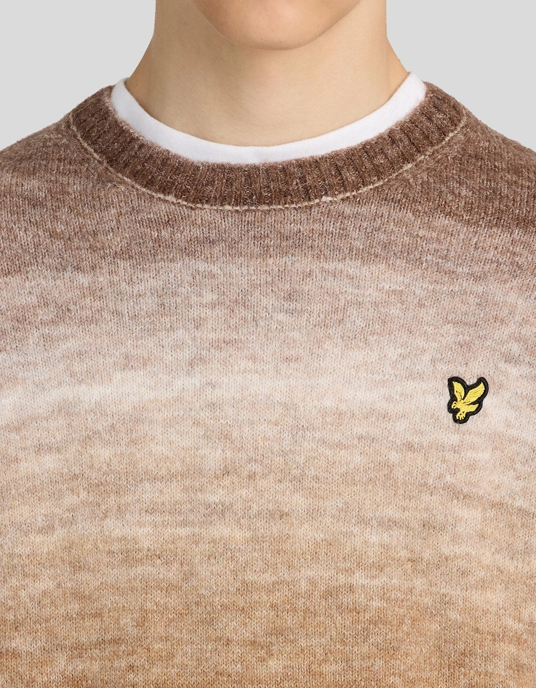Ombre Crew Neck Jumper